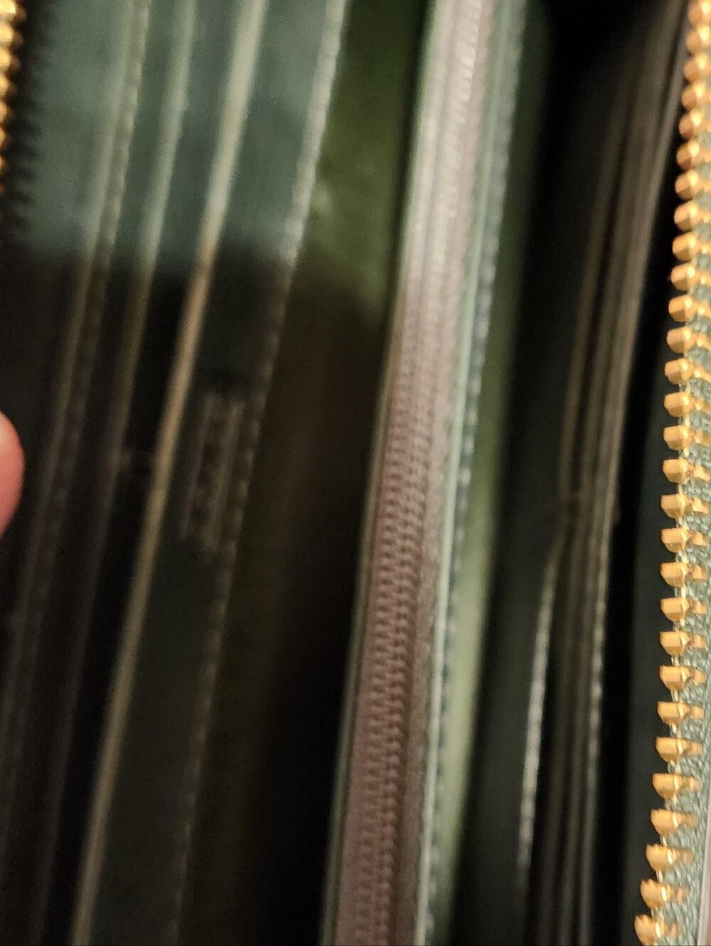 Coach Accordian Zip Wallet In Python-Embossed Leather. MSRP$298 - Picture 9 of 11